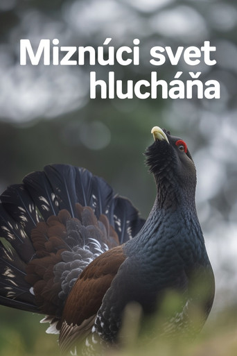 Disappearing World of the Capercaillie poster