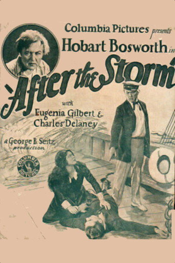 Movie poster for After the Storm (1928)