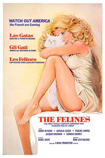 Movie poster for The Felines (1972)