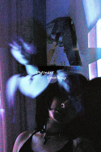 Movie poster for Endless labyrinths (2025)
