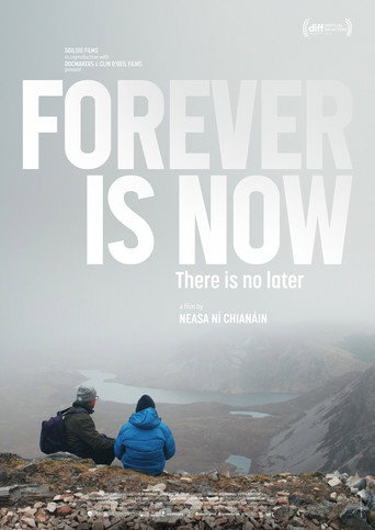 Movie poster for Forever is Now (2025)