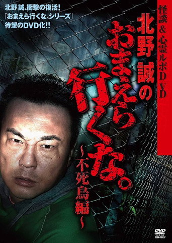 Movie poster for Ghost Stories & Spiritual Investigation - DVD Makoto Kitano: Don’t You Guys Go - Phoenix Edition (2010)