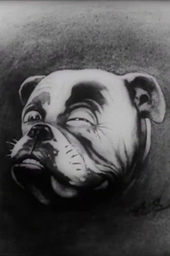 Movie poster for Studdy's War Cartoons (1915)