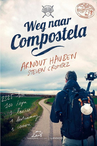 Weg naar Compostela poster