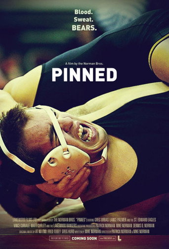 Movie poster for Pinned (2009)