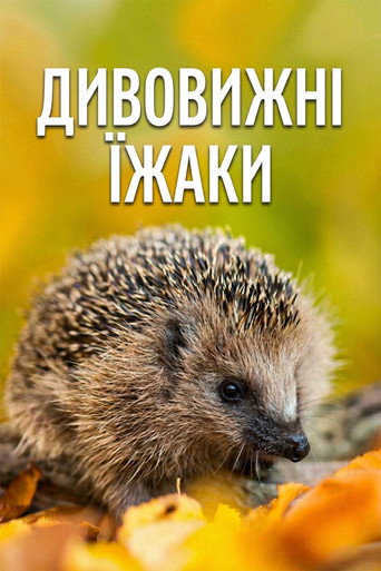 Movie poster for Year of the Hedgehog (2009)