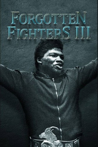 Movie poster for Forgotten Fighters III (2022)