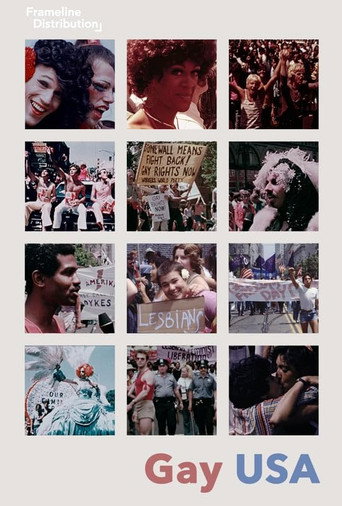 Movie poster for Gay USA (1977)