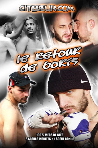 Movie poster for Boris Returns (2008)