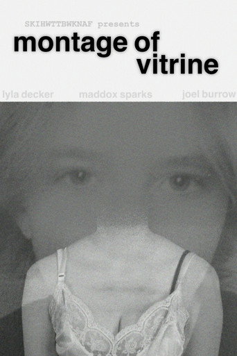 Movie poster for Montage of Vitrine (2026)