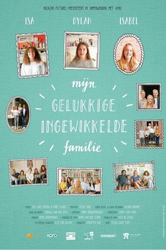 Movie poster for My Happy Complicated Family (2018)