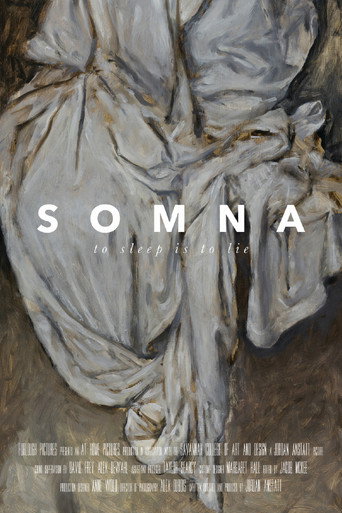 Movie poster for Somna (2017)