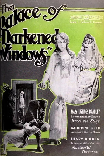 Movie poster for The Palace of Darkened Windows (1920)