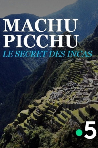 Movie poster for Hidden City of the Incas (2017)