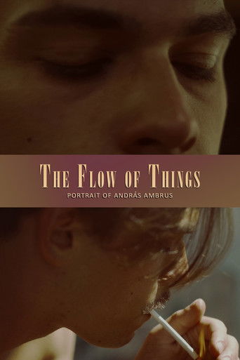 The Flow of Things poster