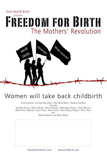 Movie poster for Freedom For Birth (2012)