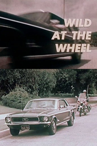Movie poster for Wild at the Wheel (1973)