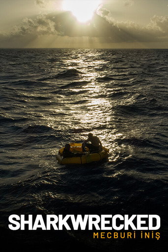Movie poster for Sharkwrecked: Crash Landing