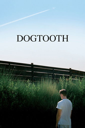 Dogtooth poster