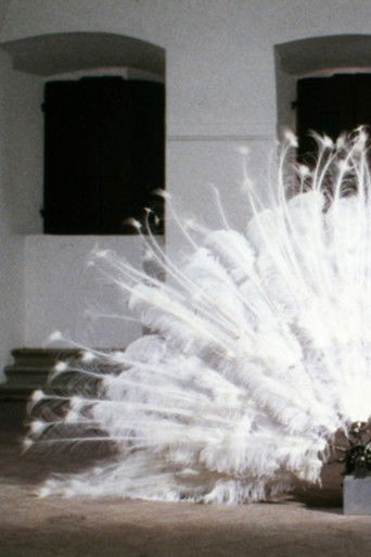 La Ferdinanda. Sonate für eine Medici-Villa poster