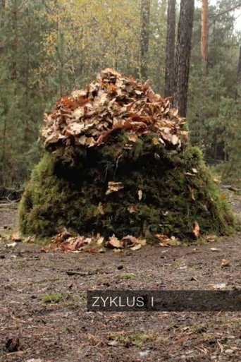 Movie poster for Zyklus I (2010)
