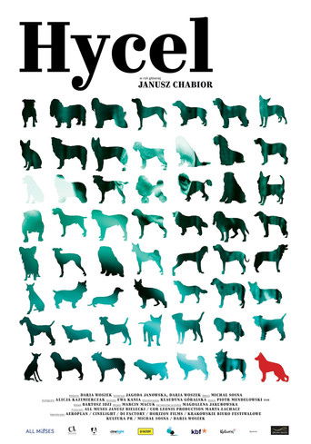 The Dogcatcher poster