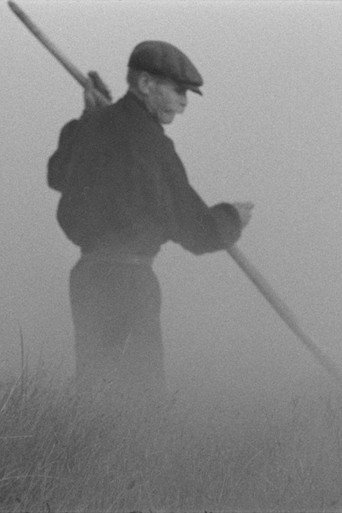 Movie poster for The Old Man and the Land (1965)