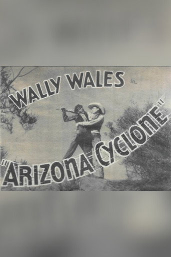Movie poster for Arizona Cyclone (1934)