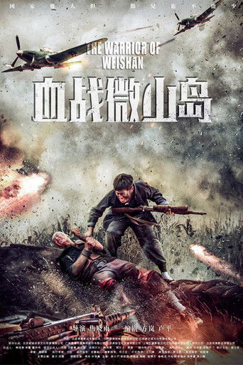 The Warrior of Weishan poster