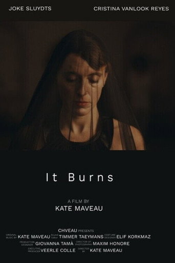 Movie poster for It Burns (2024)