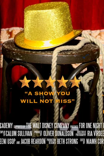 Movie poster for For One Night Only (2026)