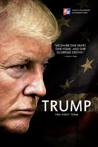 Movie poster for Trump: The First Term (2020)