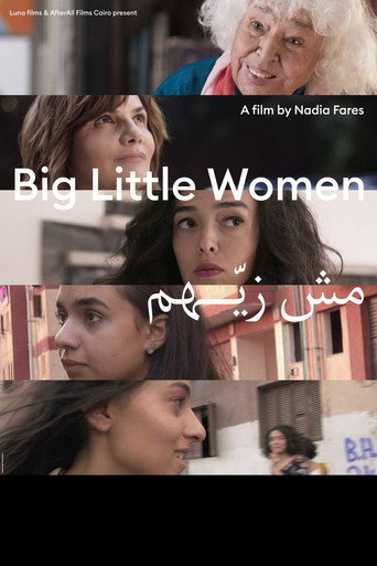 Movie poster for Big Little Women (2022)