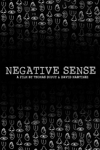 Movie poster for Negative Sense (2024)