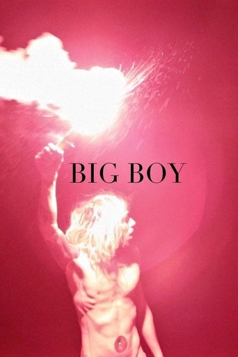 Movie poster for Big Boy (2015)