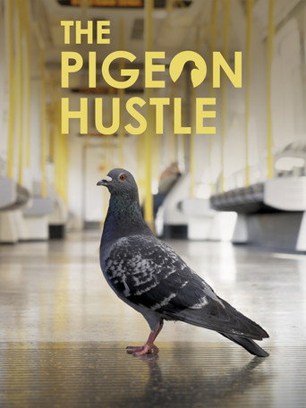 Movie poster for The Pigeon Hustle (2025)