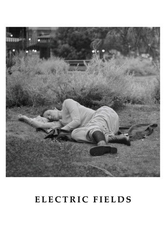 Electric Fields poster