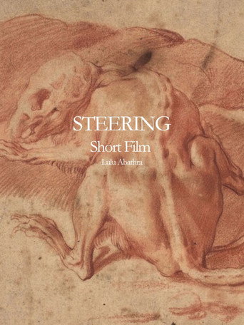 Movie poster for Steering (2024)