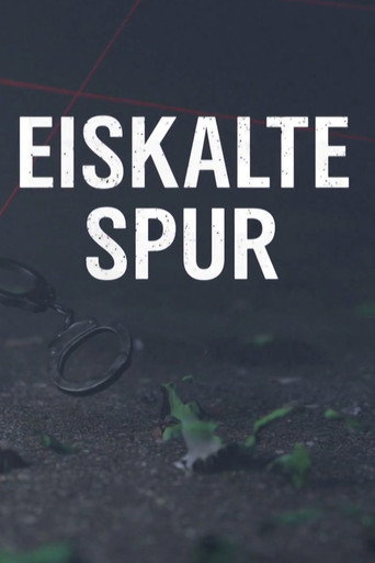 Series poster for Eiskalte Spur (2020)