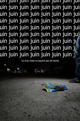 Movie poster for Juin ou  (Les chats ne payent pas de taxes) (2025)