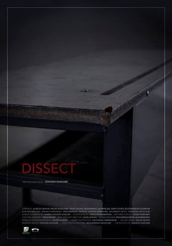 Movie poster for Dissect (2019)