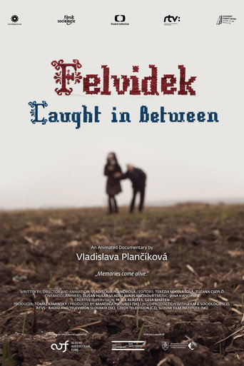 Movie poster for Felvidek – Caught in Between (2014)