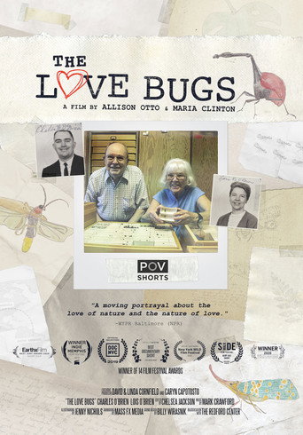 Movie poster for The Love Bugs (2019)