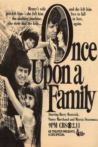 Once Upon a Family poster