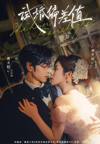 试婚偏差值 poster