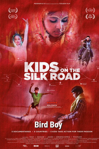 Movie poster for Bird Boy (2019)