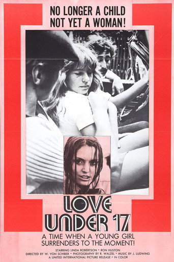 Love Under 17 poster