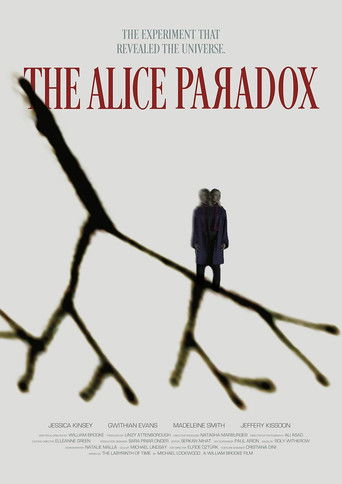 The Alice Paradox poster