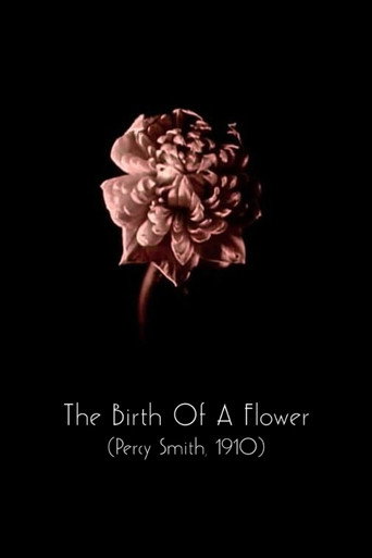 Movie poster for The Birth of a Flower (1910)