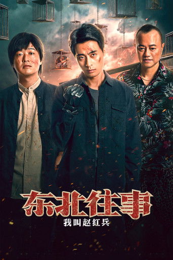 东北往事之我叫赵红兵 poster